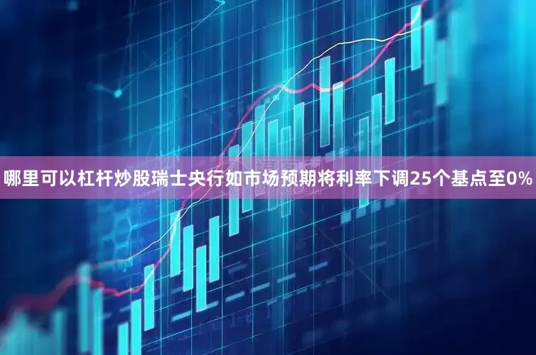 哪里可以杠杆炒股瑞士央行如市场预期将利率下调25个基点至0%