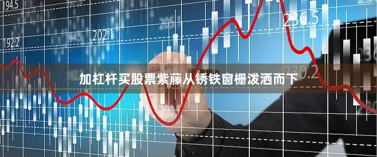 加杠杆买股票紫藤从锈铁窗栅泼洒而下