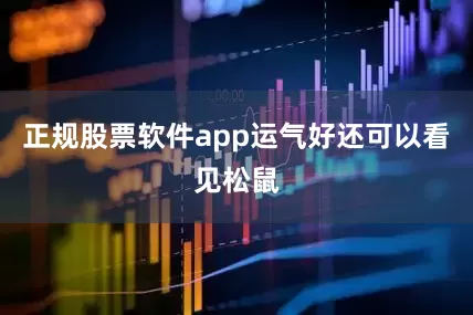 正规股票软件app运气好还可以看见松鼠