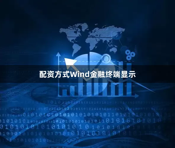 配资方式Wind金融终端显示