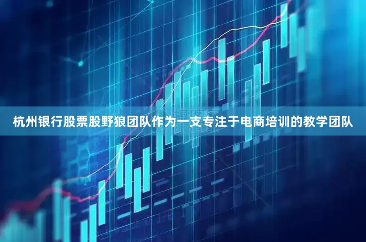 杭州银行股票股野狼团队作为一支专注于电商培训的教学团队
